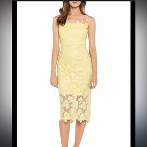 Bardot Meringue Lace Dress NWT Size 6/Small